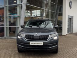 
Škoda Kodiaq full									