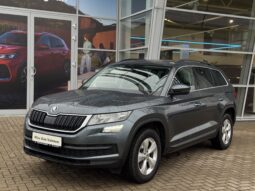 
Škoda Kodiaq full									