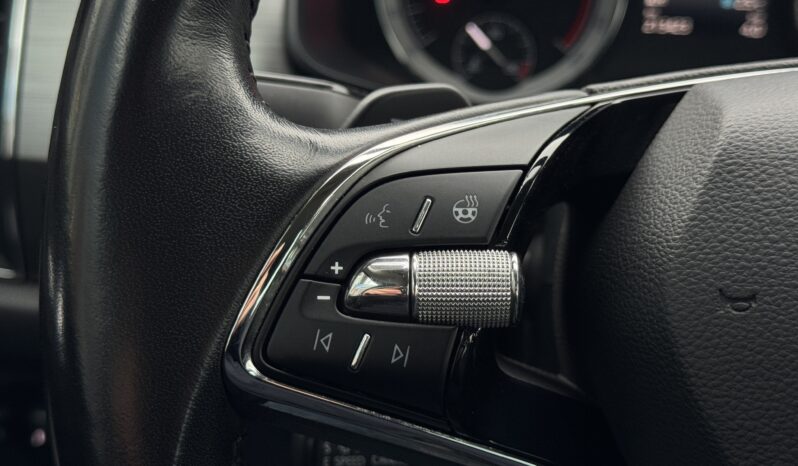 
Škoda Kodiaq full									