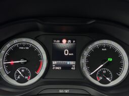 
Škoda Kodiaq full									