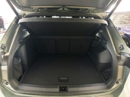 
Tiguan R-Line full									