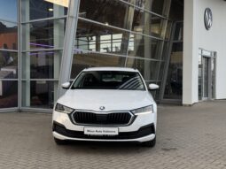 
Škoda Octavia 4×4 full									
