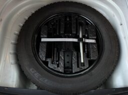 
Škoda Octavia 4×4 full									