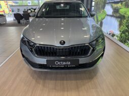 Škoda Octavia full