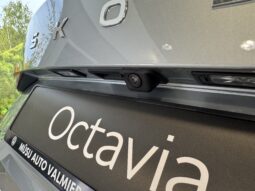 Škoda Octavia full