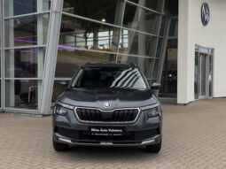
Škoda Kamiq Ambition Clever, 1.0tsi,manuāls,pelēka full									