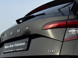 
Škoda Karoq Ambition Clever, 4×4,brūna full									