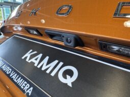 
Škoda Kamiq Selection full									