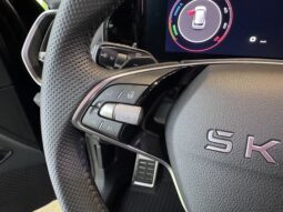 
Škoda Kodiaq Sportline full									