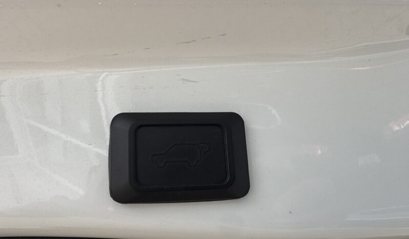 
Toyota Rav 4 Hybrid, 2.5L,awd,balta full									