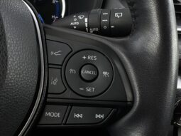 
Toyota Rav 4 Hybrid, 2.5L,awd,balta full									