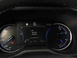 
Toyota Rav 4 Hybrid, 2.5L,awd,balta full									